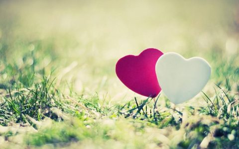 10张1080P全高清情侣电脑壁纸一对下载 清新唯美甜蜜