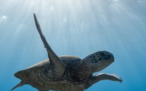 30张自然风景、田园风光手机壁纸下载 简约清新 唯美意境！