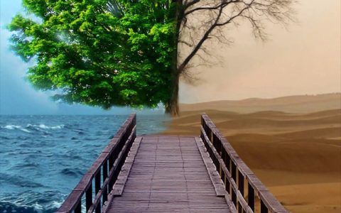 全屏是一棵大树的壁纸 12张大自然清新一棵树手机壁纸大全