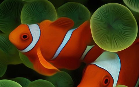 20张好看的2K超清手机壁纸下载 国庆/风景/简约/炫酷风格都有