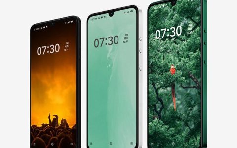 坚果Pro3内置壁纸高清无水印下载 产品经理很喜欢鸟吧！