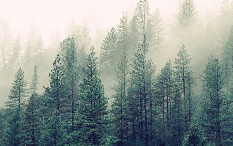 12张2K超清竖屏手机壁纸高清无水印下载 张张都很漂亮