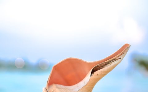 8张1125×2436分辨率全面屏手机壁纸下载 最佳适合iPhone