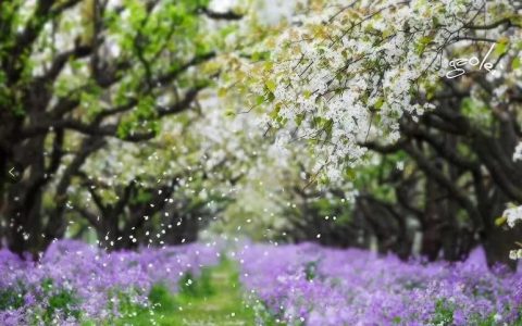 龙头白马股近五年走出了壮阔的上涨行情 还能买吗？