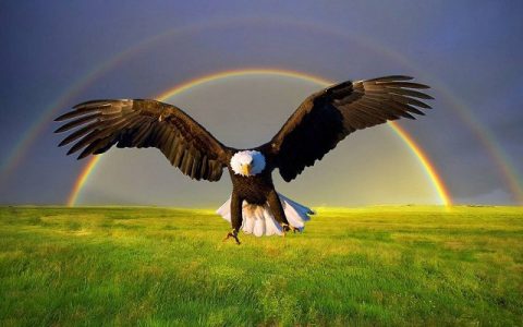 火绒弹窗广告拦截工具下载 一键拦截各种电脑弹窗广告！