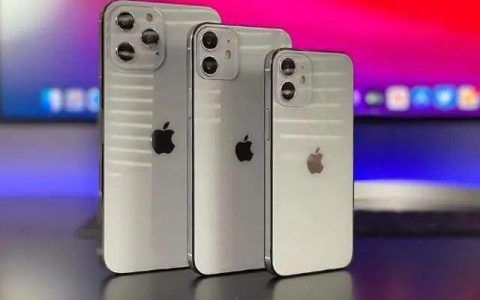 苹果CEO库克：对iPhone 12和中国市场非常有信心
