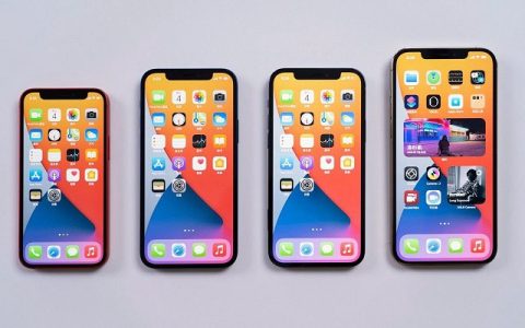 有钱人还是挺多的 苹果官网又被抢崩了