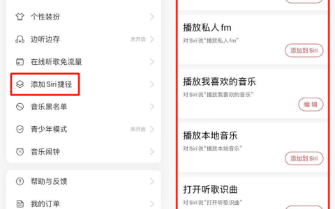 iPhone双击背部播放你喜欢的音乐教程