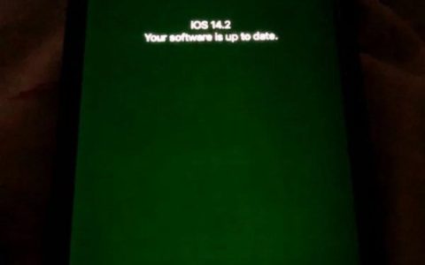 苹果承认iPhone12部分机型存在绿屏问题 有信心通过升级系统修复