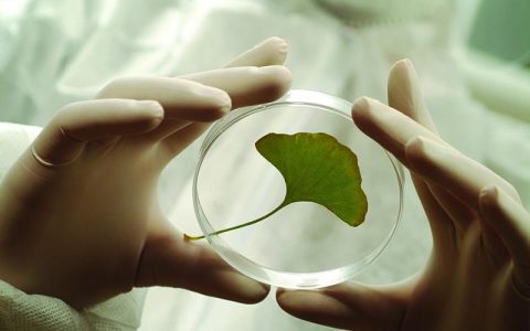 医疗创新药几个细分行业前景广阔 确定性强的几家龙头公司