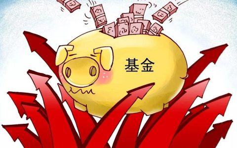 国富中小盘股票怎么样 450009基金优缺点分析