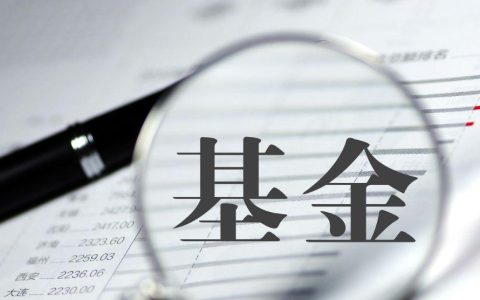 中欧时代先锋股票A怎么样 001938基金优缺点诊断分析
