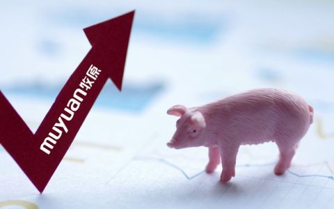猪肉跌回10元时代 牧原股份跌停 公司回应：做好迎接冬天的准备