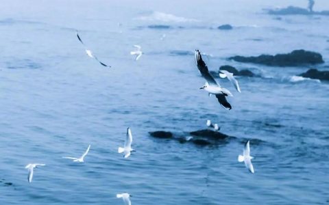 5月再见,6月你好朋友圈说说 2021六月你好唯美句子大全