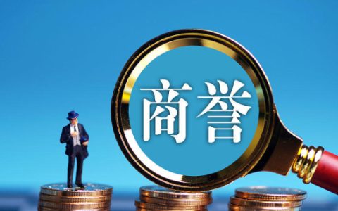 商誉是什么意思？商誉高好还是低好？会计商誉和经济商誉的区别
