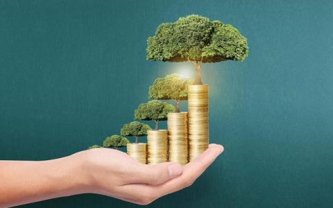 复利的秘诀：控制回撤，保持长期稳定的盈利