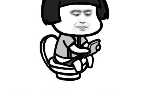 上厕所玩手机容易传播疾病 网友：哪来的这么多屁事！