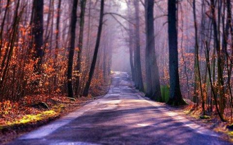 A股如何“抄底”，才能避免血亏？