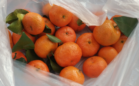 砂糖橘是什么梗？没有一袋砂糖橘能过夜突然热搜刷屏