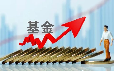 指数基金和主动基金哪个适合定投？主动基金和指数基金区别对比