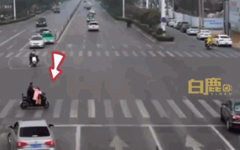 男子闯红灯被撞要求调监控：想看看自己飞了多高