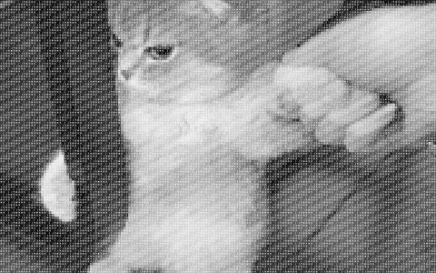 字符画怎么制作？十秒学会制作字符画