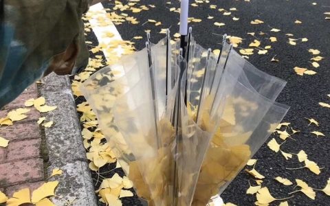 10张朋友圈封面图片漂亮风景 很适合做朋友圈封面