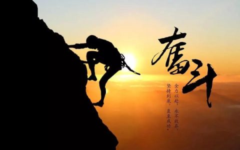 什么时候努力都不晚，什么时候不努力都完了