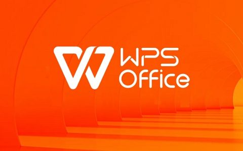 WPS Office手机版激活码 永久使用专业版VIP功能
