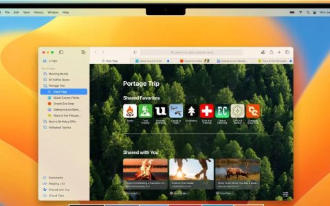 iOS 16已经支持AVIF图像了 可以取代GIF