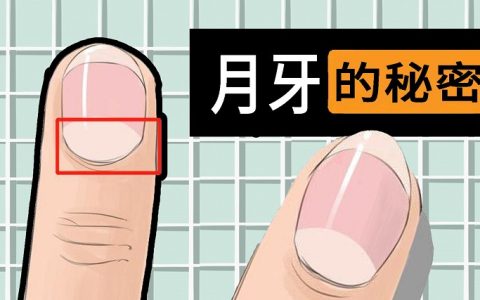 指甲上的月牙是什么 指甲上的月牙和健康有关吗？