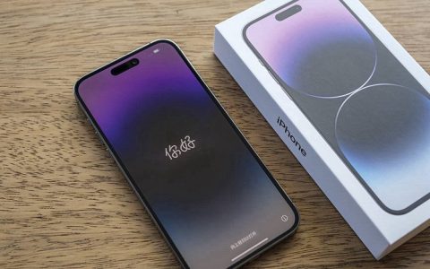 太实用了 iPhone14 Pro灵动岛将支持实时体育比分