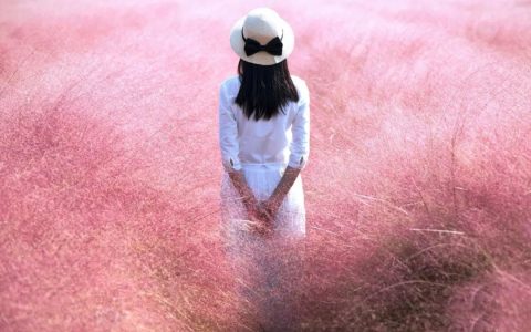 10月再见,11月你好朋友圈说说 2022十一月你好唯美句子