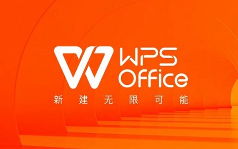 WPS Office精简版安卓下载 干净无广告，极速秒开！