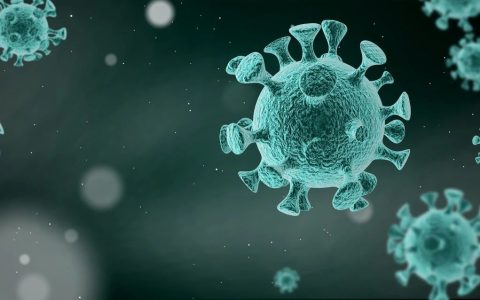 新冠康复后二次感染比例有多高？二次感染是否会更加严重？