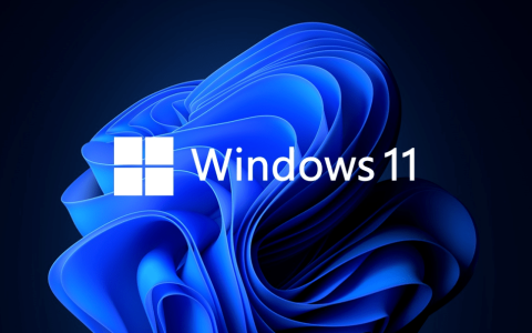 Win11 22H2纯净版iSO镜像下载 Win11 2022年12月更新官方ISO下载