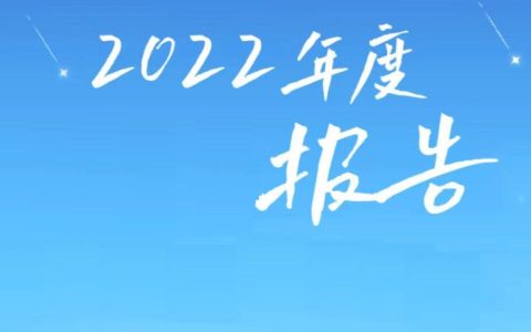 2022各大应用年度报告来了！