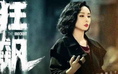 《狂飙》大嫂陈书婷壁纸下载 冷艳酷拽高叶手机壁纸