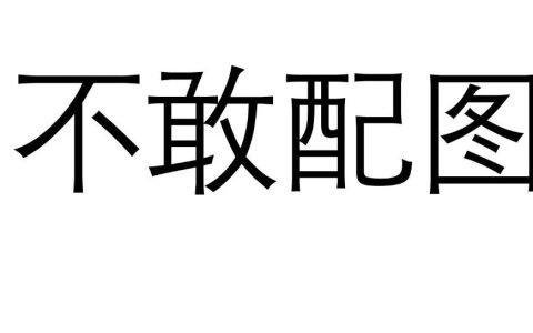视觉中国回应摄影师遭死亡威胁：反对非理性言语、行为